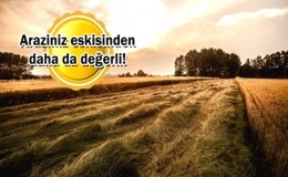 Parselasyon İşlemleri; İfraz, Tevhid, Tahsis ve Dop